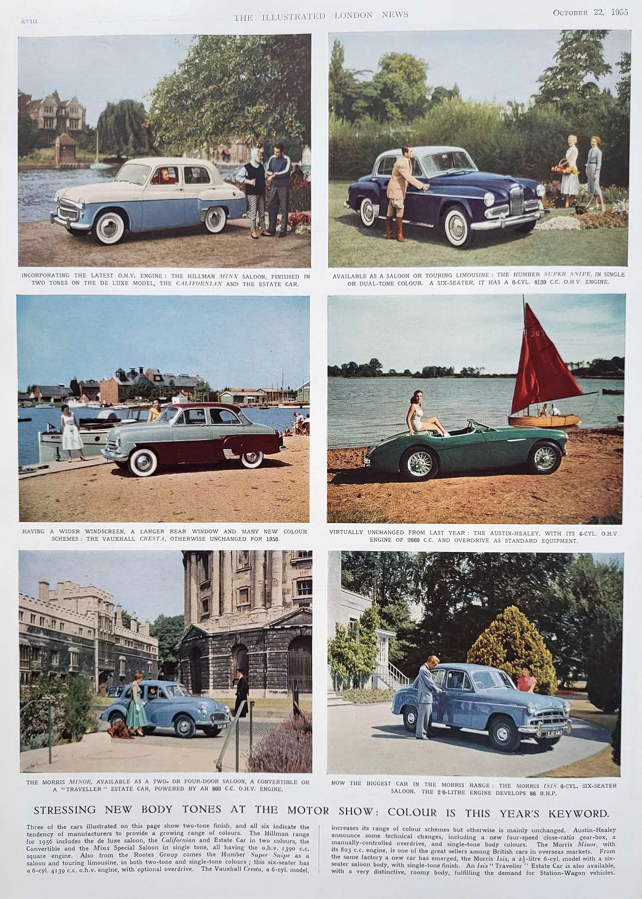 tone of colours in 1955 cars